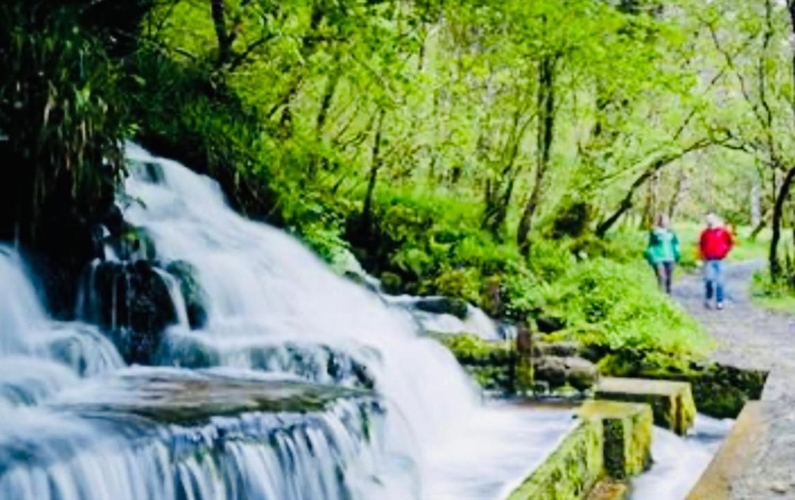Arch House Bed & Breakfast Florencecourt Luaran gambar